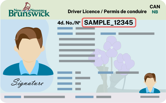 Carte de permis de conduire du Nouveau-Brunswick avec le numéro surligné