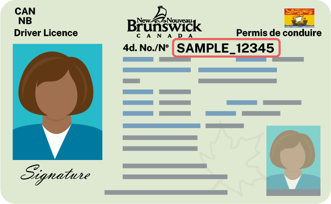 Ancienne carte de permis de conduire du Nouveau-Brunswick avec le numéro surligné